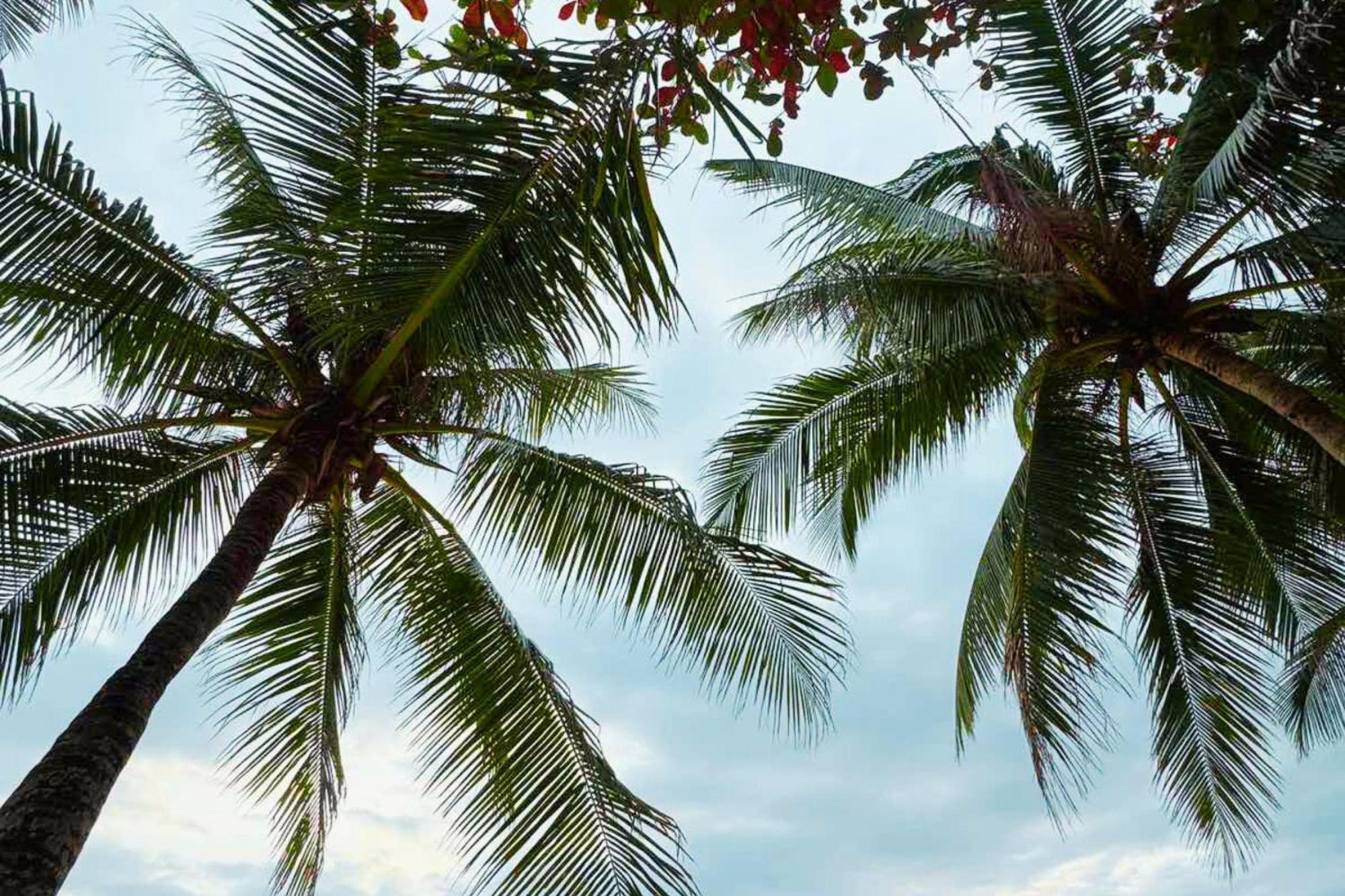 The Muse Hotel Boracay Balabag  Zewnętrze zdjęcie