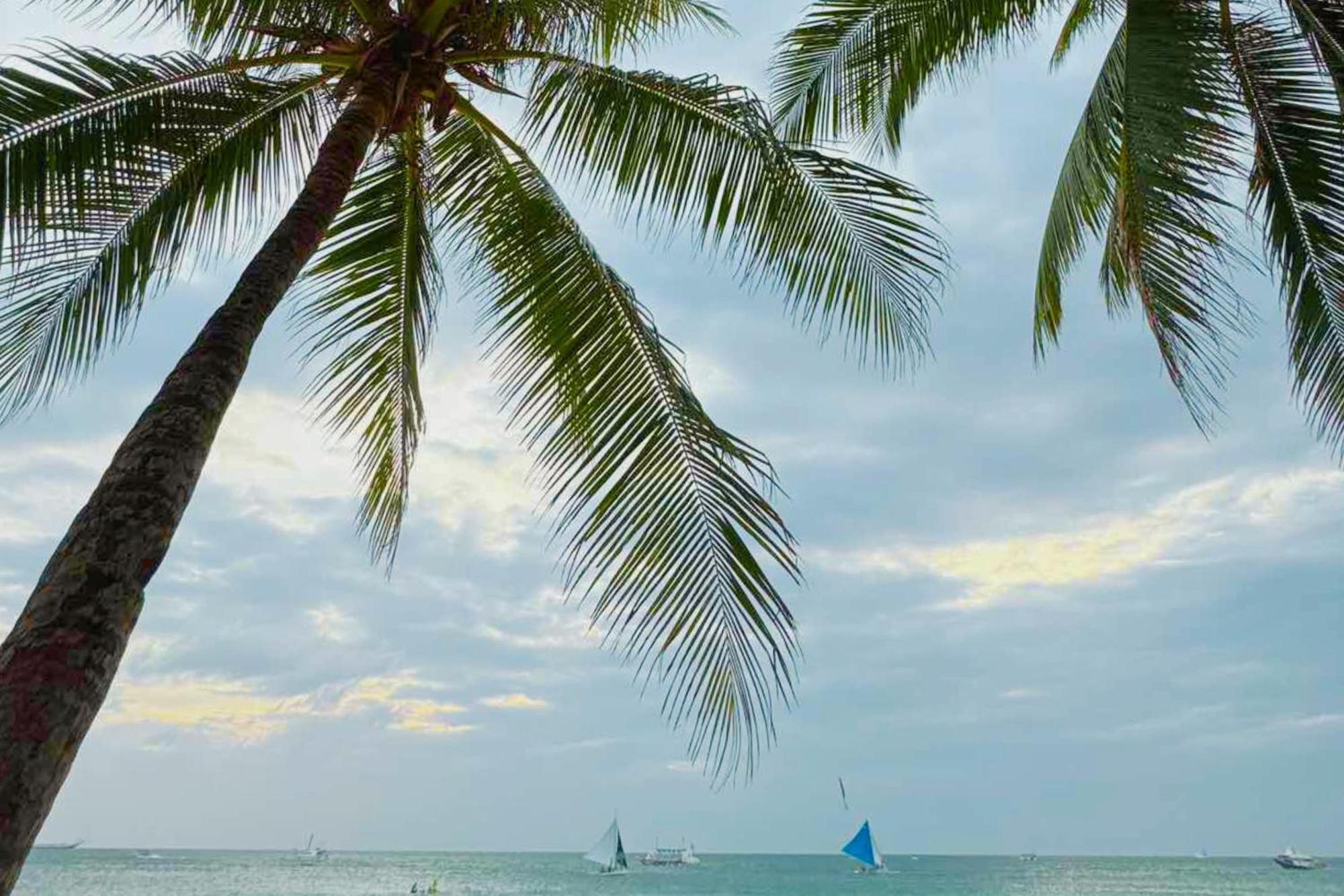 The Muse Hotel Boracay Balabag  Zewnętrze zdjęcie